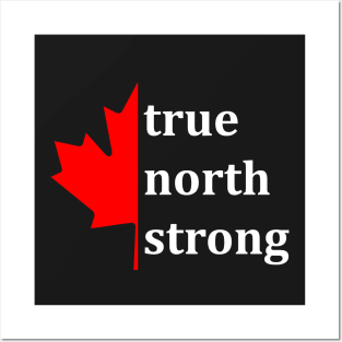 True North Strong, 3 Posters and Art